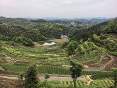 -乌石村
