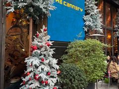 -THE CANNERY&JUJU 新鲜海鲜·牛排美食酒廊
