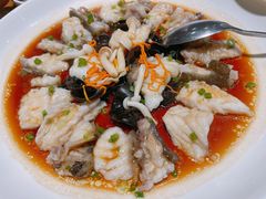 碎蒸大龙趸-宴小馆·小海鲜青岛菜(五四广场店)