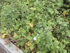 -清凉山国家森林公园