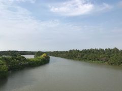 -大湾区中央湿地公园