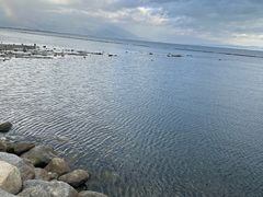 -大理洱海