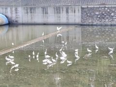 -白鹭湾湿地公园