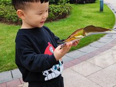 -绿城奇妙园双语日托(华茂悦峰园区)