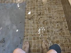 -中家鑫园温泉酒店鑫悦汤泉