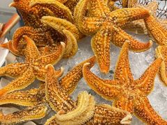 -菲住布渴酒店自助餐厅(阿里巴巴西溪园区店)