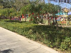 -杨柳青庄园