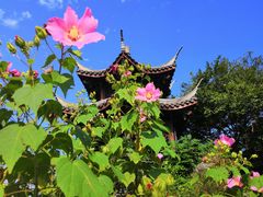 -武汉园博园(武汉自然博物馆)