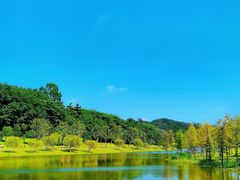 -东莞植物园