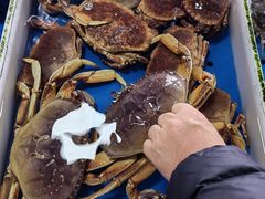 -南沙十九涌渔人码头-南门