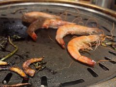 -杨小佳·齐齐哈尔烤肉·烤串(广州店)
