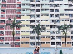 -彩虹村