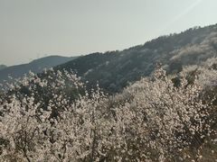 -妙峰山风景名胜区