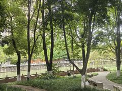 -成都市活水公园