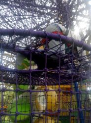 -大望京儿童游乐场