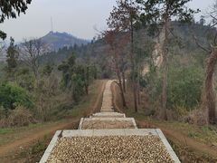 -青龙山国家森林公园