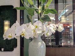 -南堂馆·新川菜(春熙路店)