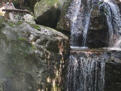 -牛背梁国家森林公园