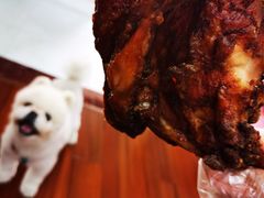 鸡腿-王二甩老木子鸡(江湾店)