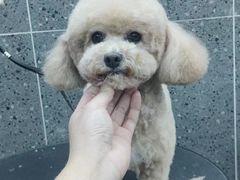 -宠物家(大兴旧宫店)