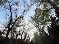 -山东大学(趵突泉校区)