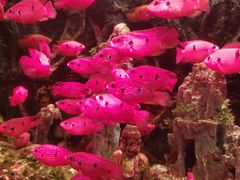 -多彩贵州城极地海洋世界