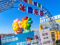 -丁香湖丁香小镇Citypark滑雪公园戏雪嘉年华