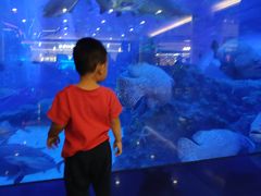 -成都浩海立方海洋公园
