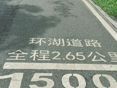 -海珠湖公园