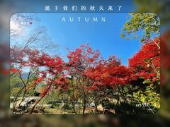 -崂山巨峰游览区