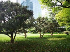 -静安公园(静安寺街道)