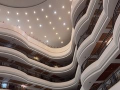 -五谷芳乳鸽王(海景店)