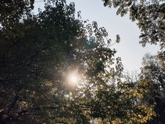 -森林公园(尖草坪区)