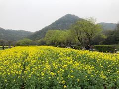 -八卦田遗址公园
