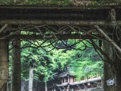 -青城山