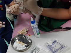 -北京观赏动物医院·24小时大型综合·猫专科·异宠专科