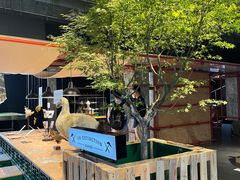 -现代汽车文化中心 Hyundai Motorstudio Beijing