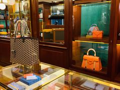 -Goyard 高雅德(国贸商城店)