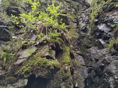 -藏龙百瀑风景区