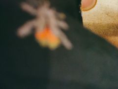 -比格比萨自助(南京万达茂店)