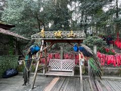 -青城山