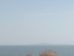 -贡湖湾湿地公园