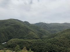 -宁波浙东大竹海景区