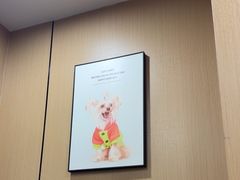 -半岛宠物医院24小时(西派城店)