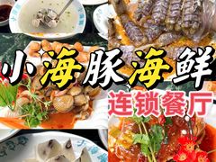 -亚龙湾热带天堂森林公园