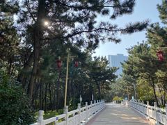 -林海公园