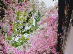 -深圳国际园林花卉博览园