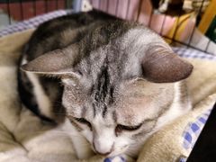-谜盒子奇幻密室(南屏店)