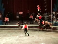 -俄罗斯国家大马戏团