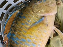 -三亚火车头万人海鲜广场